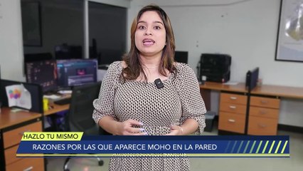 ¿Por qué aparece moho en tus paredes? Descubre las causas y cómo prevenirlo 🧱