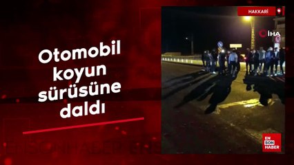 Hakkari'de otomobil koyun sürüsüne daldı