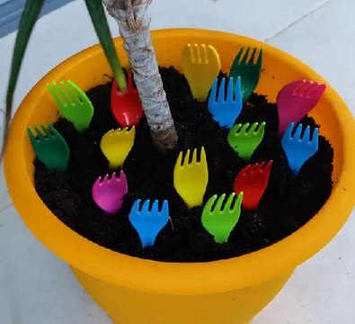 Indoor gardening tips to make your plants bloom!