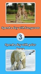 Would You Rather Animals Edition #3