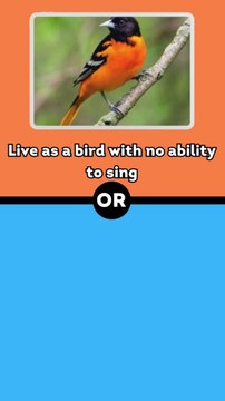 Would You Rather Animals Edition #8