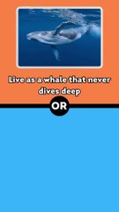 Would You Rather Animals Edition #9