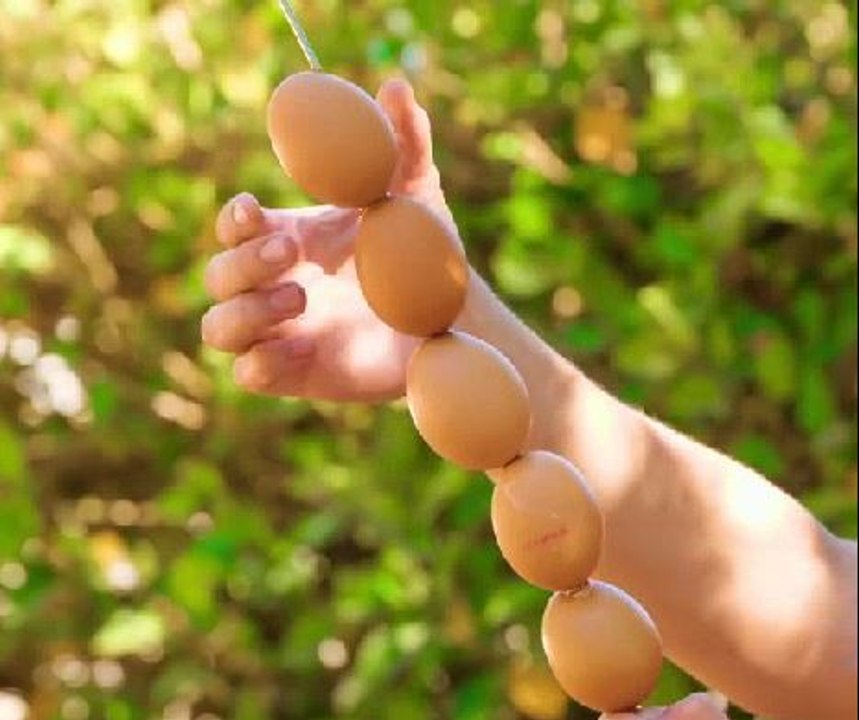 Mouth-watering outdoor cooking tips for you to try this autumn!