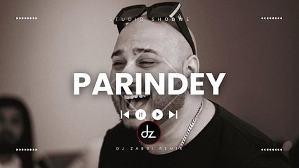 Parindey _ B Praak _ (Dz Original Mix) _ Sargun _ Gippy _ Alex ft Dj Zabbi _ Remix #dz