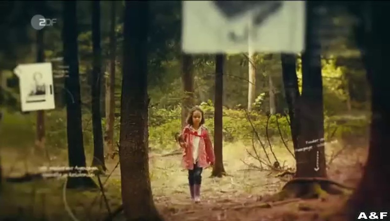 Taunuskrimi -07- Böser Wolf (2)