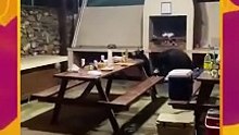 Osos irrumpe fiesta en cabañas de Ciénega de González en Nuevo León