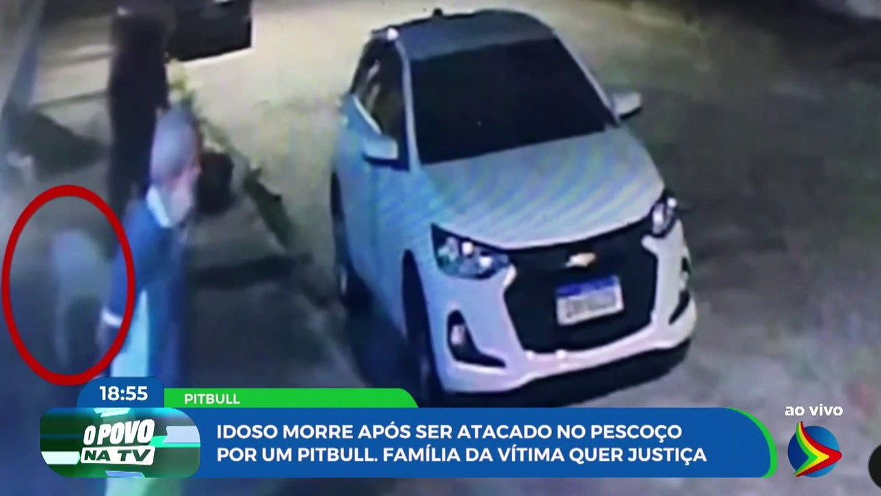 Idoso morre após ser atacado no pescoço por cachorro da raça Pitbull