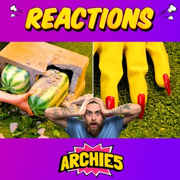 Simple Solutions for Common Plant Care Issues !!! The Dudes REACT to 5-Minute Crafts Gardening Hacks