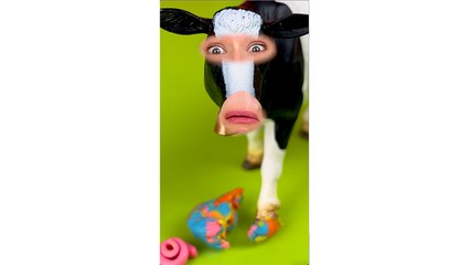 HEELS FOR A COW?! Watch To Find Out How It Turned Out! #shorts