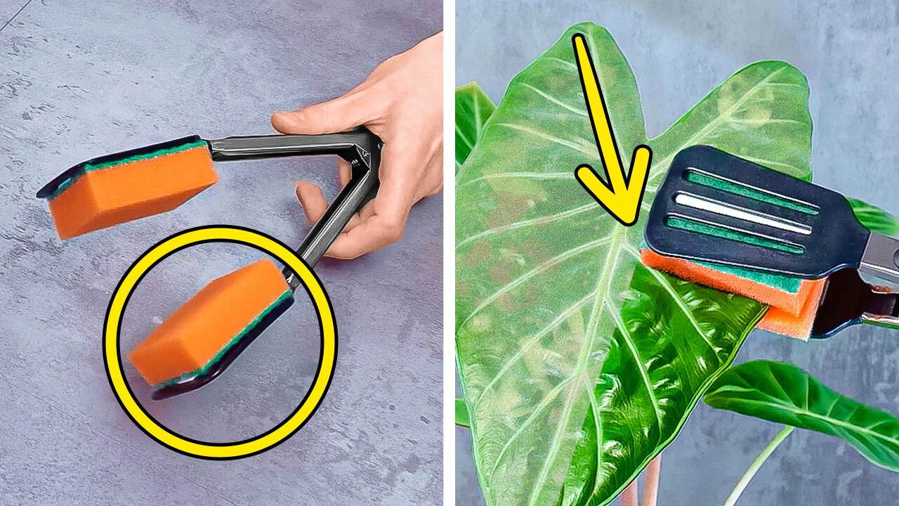 OMG!  Genius Plant Growing Hacks and Tricks to Transform Your Home Into a Green Oasis