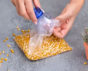 Plastic fantastic! Awesome ways to reuse plastic bottles!