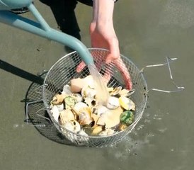 Turning sea treasures into something new!