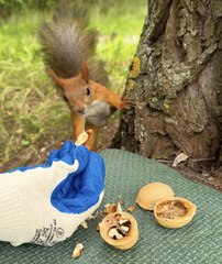 This idea blow up your mind!  #hack #diy #camping