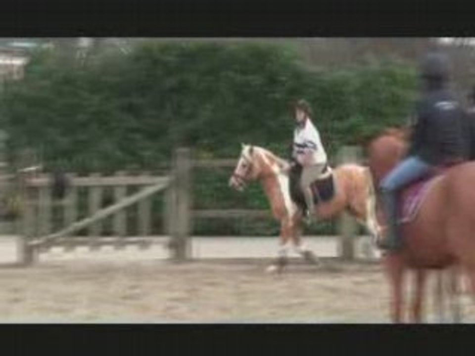 Cali alias G. Picasso de Hansez_0001