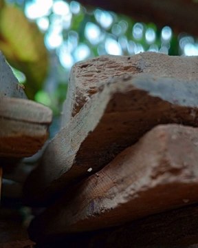 |HABIB ARIEL CORIAT HARRAR | REDES NEURONALES Y SU APLICACIÓN EN FINANZAS (PARTE 1) (@HABIBARIELC)