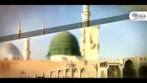 New & Heart Touching Naat 2024 ¦¦ Dawar e Hashar ke Yar Nabi ji ¦¦ Anas Hallare ¦¦ Kehkashaan