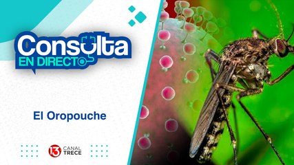 19 Septiembre 2024 | Consulta en Directo - Oropouche