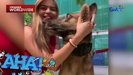 TikTok content creator, nakagat ng isang guard dog?! | AHA!