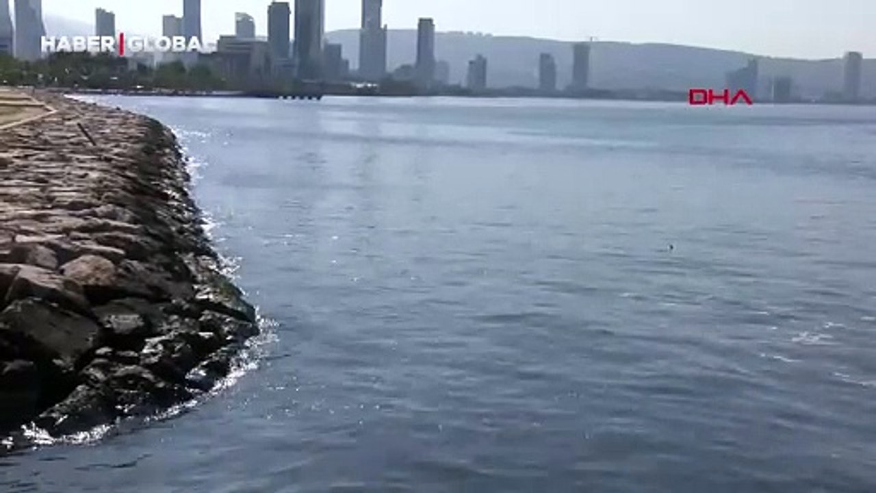 Olta balıkçıları İzmir için uyarılara aldırış etmedi, yasağı delip geçtiler
