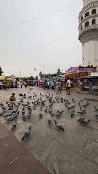 Gimbal and Stabilization Program