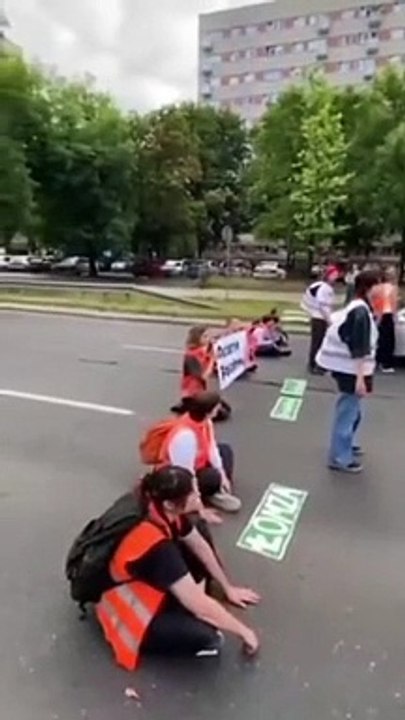 Des conducteurs polonais, impatients face à des activistes écologiques !