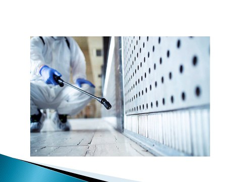 Pest Control Parramatta and Inner West Get Rid of Pests with Professional Solutions