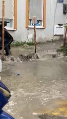 Sinop'ta rögar taşkınları