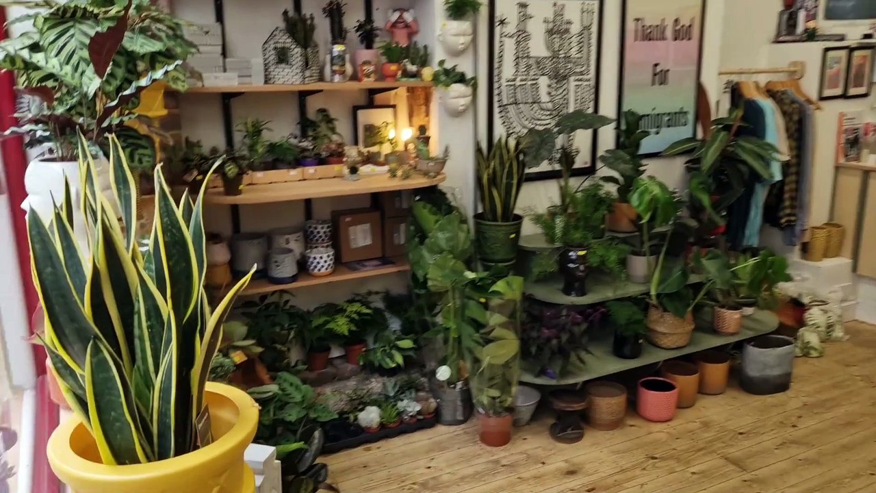 Inside new Sheffield plant and gift shop selling amazing Threads figurines