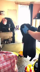 Cannabis edibles raids