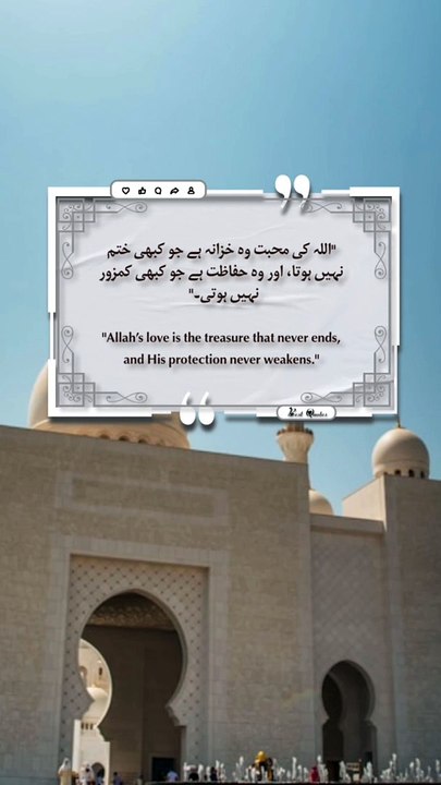 Best Quotes #quran #quotes #shortsviral #islamicquotes #shortvideo #shorts #tranding #short #quote