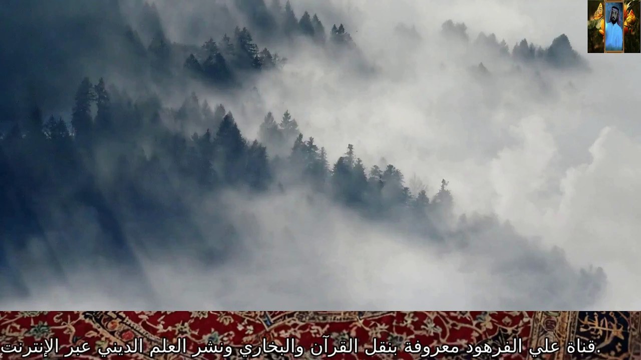 قصص صحيح البخاري باب إذا-لم يتم-الإمام-وأتم-من خلفه الأحاديث قناة علي الفرهود القران الكريم