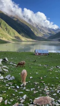 Neatural Beauti in Pakistan Kpk Beautiful view in Kaghan Naran valley ❣️