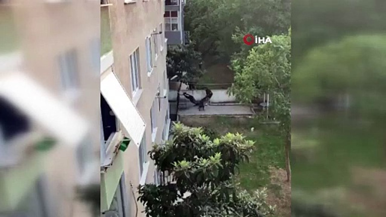 İstanbul'un Göbeğinde Pitbull Dehşeti! Saldırı Anı Cep Telefonu Kamerasına Yansıdı