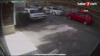 Sokak köpeği kendisini seven çocuğu başından ısırdı!