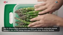 Tupperware Akhirnya Bangkrut Setelah Puluhan Tahun Berdiri