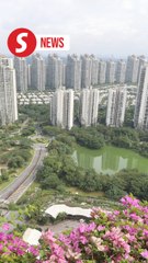 Forest City first location in Malaysia to offer zero tax rate for family offices