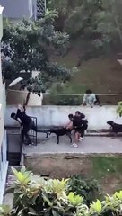 Başıboş köpek saldırısı! Çığlıklar içinde kurtarılmayı bekledi