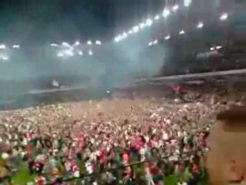 Feux d'artifice Standard champion