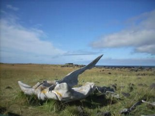 Islande (Iceland)