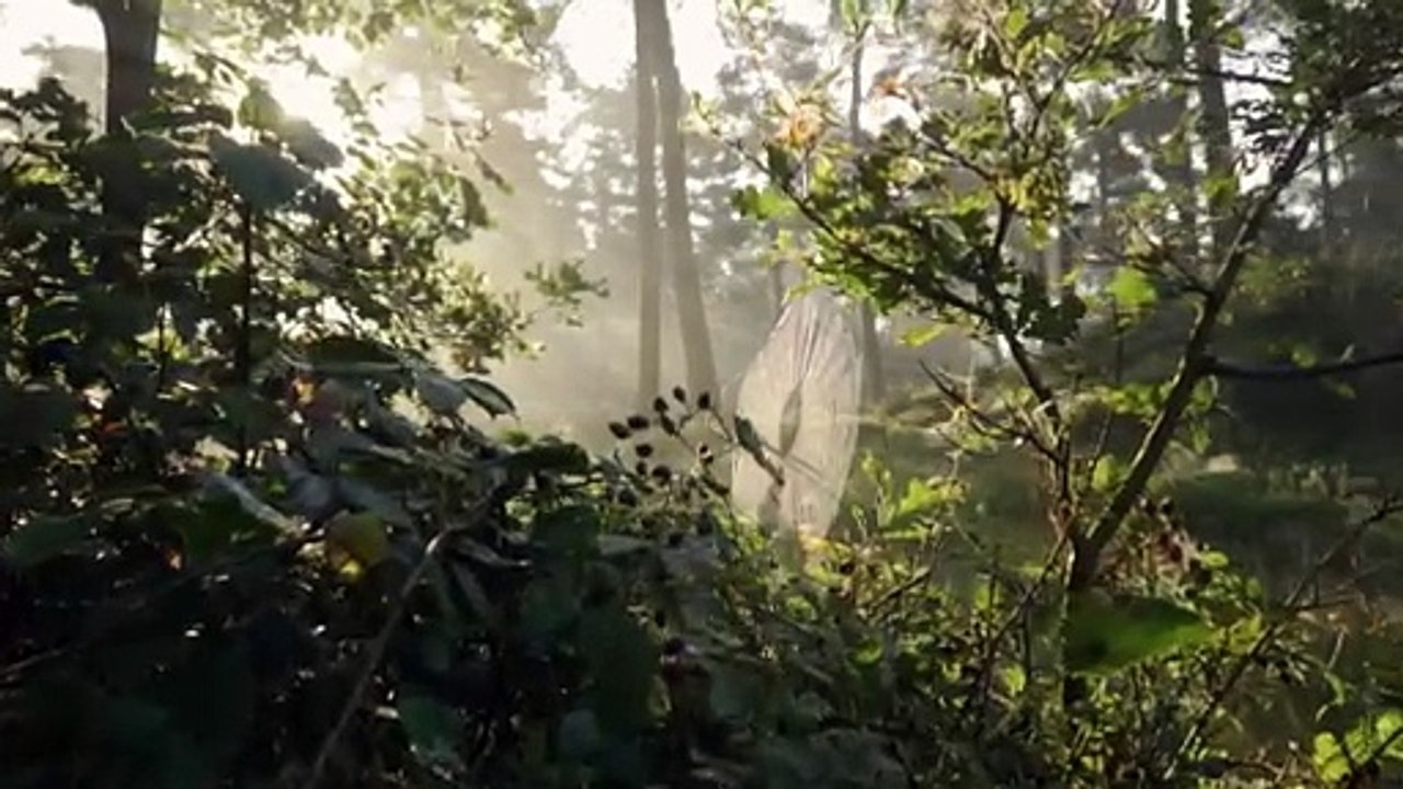 big_wigru_banner2-hd_1920_1080_30fps