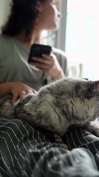 you're considering other pets besides cats, here are some wonderful ideas, each with their own unique charm: