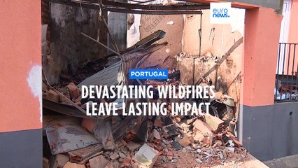 Portugal observes day of national mourning after seven die in wildfires