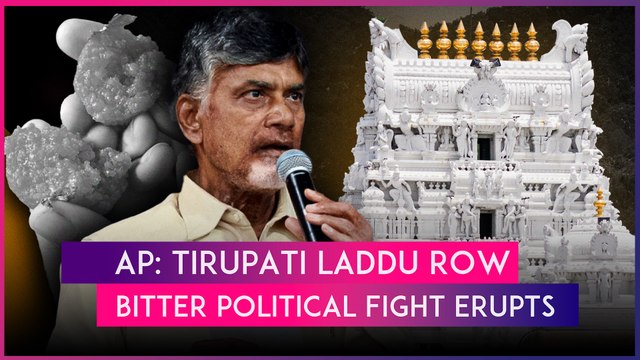 Tirupati Laddu Row: Political Fight Erupts Over TDP’s ‘Animal Fat In Laddus’ Claim Targetting YSRCP