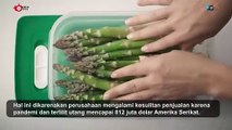 Tupperware Akhirnya Bangkrut, Ikon Wadah Plastik Dunia Tutup Usaha