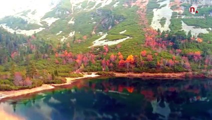 Sembrando Esperanza - Alvaro garcía lópez - 21.09.2024