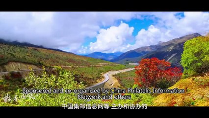 Yang Helin's Art Life