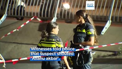 Dutch police seek witnesses to deadly Rotterdam stabbing as suspect taken into custody