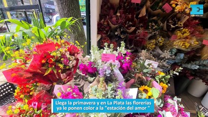 Llega la primavera y en La Plata las florerías ya le ponen color a la estación del amor