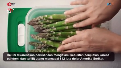 Tupperware Bangkrut Setelah 77 Tahun Jadi Kebanggaan Ibu-Ibu