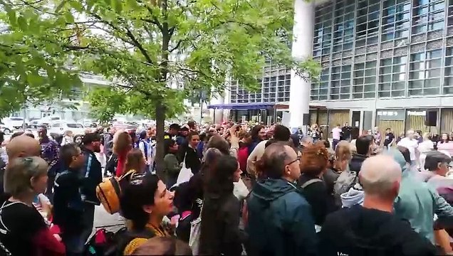 Maiali uccisi per la peste suina: presidio animalista sotto Regione Lombardia